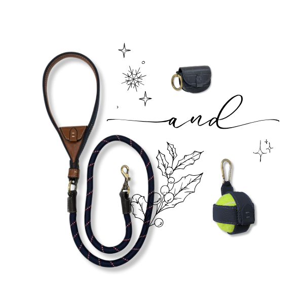 The Complete Dog Gift Set: Leather Lead, Pouch & Ball Holder