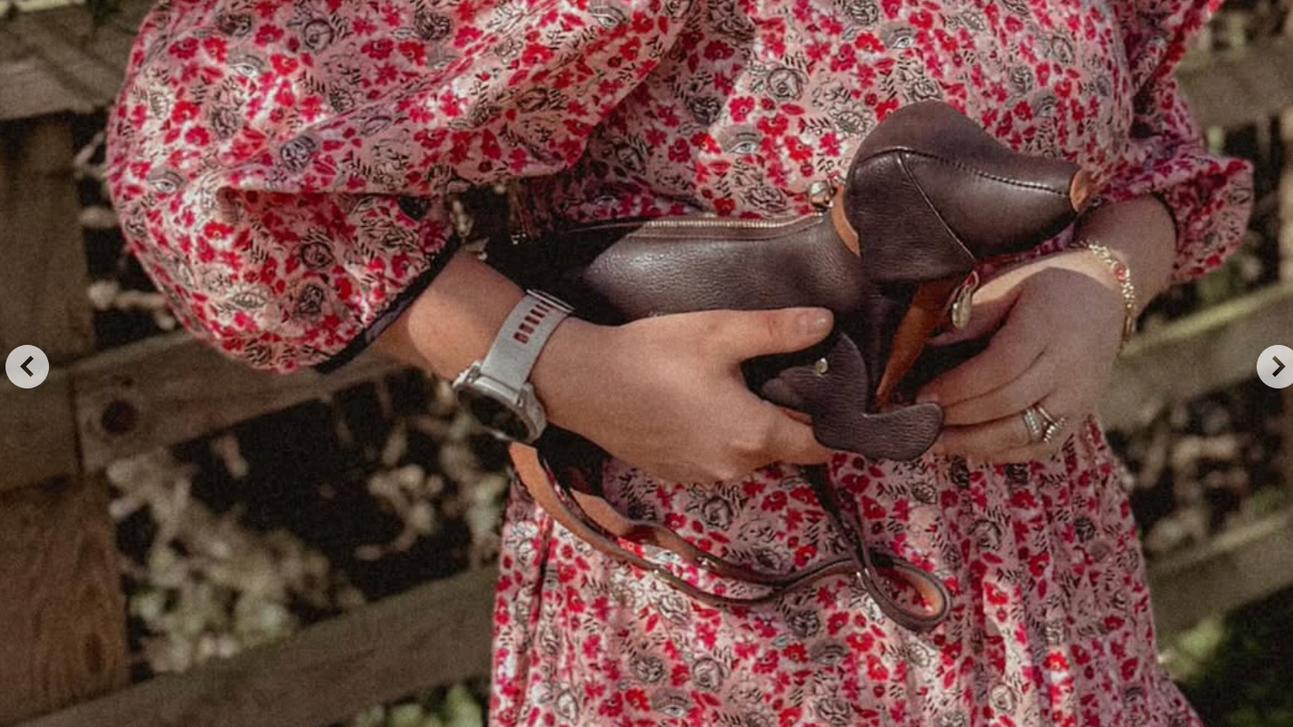 Our Unique Sausage Dog Handbag is getting noticed (and he's versatile!)
