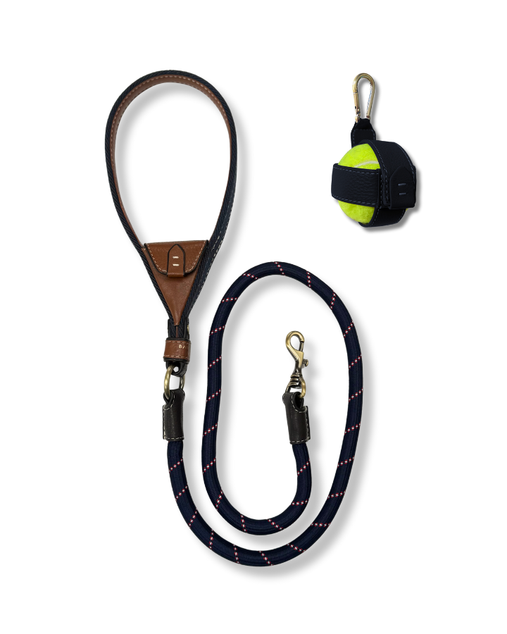 Dog lead with intergrated treat pouch and ball holder with tennis ball