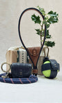 Dog Giftset including a leash, ball holder, treat pouch with a plant in the background.