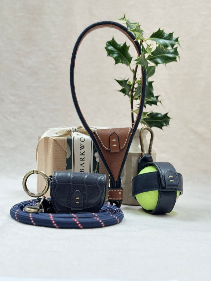 Dog Giftset including a leash, ball holder, treat pouch with a plant in the background.