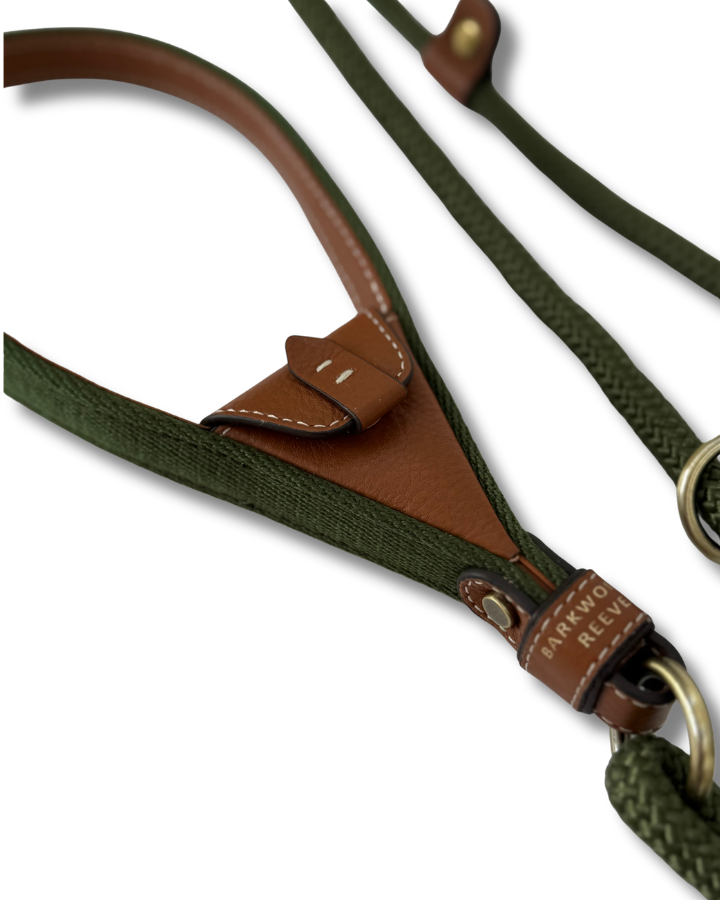 Faldingworth Slip Lead In Olive & Tan Grain