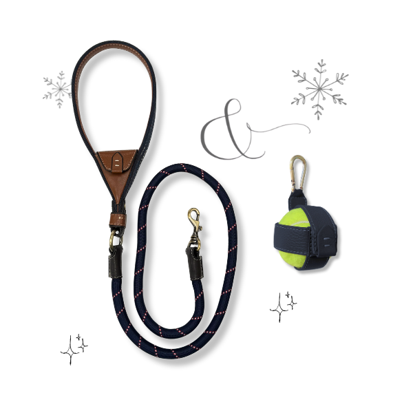 Dog Walking Gift Set: Lead & Ball Holder